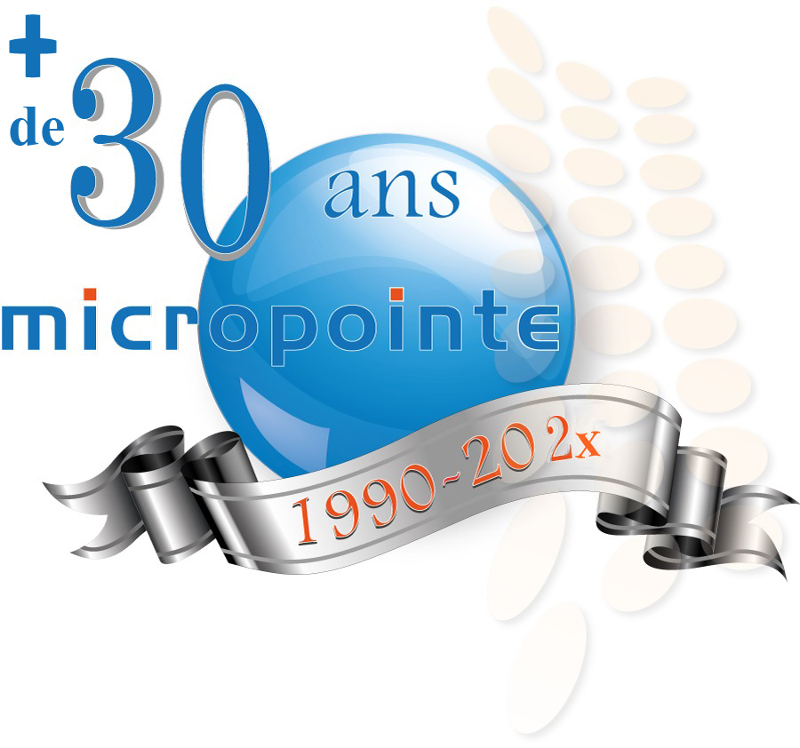 Logo Micro-Pointe